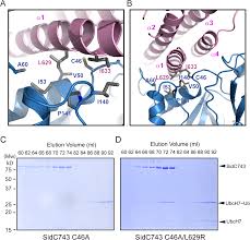 Think of 5 reasons for why people read. Structure Of The Legionella Virulence Factor Sidc Reveals A Unique Pi 4 P Specific Binding Domain Essential For Its Targeting To The Bacterial Phagosome