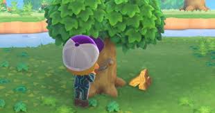 If you get rid of trees on your animal crossing new horizons island you'll be left with tree stumps. Acnh Wood How To Get Animal Crossing Gamewith