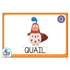 Alphabet tracing worksheet with letter q and q. Free Alphabet Flashcards For Words That Start With The Letter Q Bingobongo