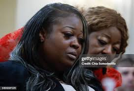 114,384 Of Getty Moss Stock Photos, High-Res Pictures, and Images