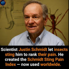 Dr Schmidt has been stung by thousands of insects in the name of science.  But which one hurt the most? 🐜🕷️🐞🦂