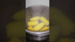 Masak pizza guna noxxa tidak sampai 5 minit sudah siap. Rebus Jagung Guna Primada Pressure Cooker Youtube