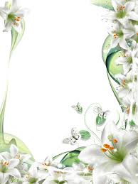 Pin By Pauline Zinie On Frames Borders Corner Accents White Lily Flower Lily Flower Flower Clipart