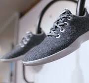 Allbirds founders: Shoes hadn't kept up with modern living