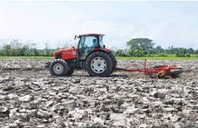Padi merupakan tanaman yang paling banyak ditanam di kedah. Kota Belud Aplikasi Teknologi Jepun Untuk Tingkat Hasil Padi Pressreader