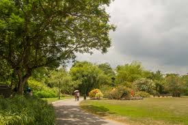 Sehenswert ist der singapur botanischer garten der sogar kostenlos angeschaut werden kann und dieser nennt sich auf englisch singapore botanic gardens der schon seit 150 jahren besteht. Singapore Botanic Gardens Wikipedia