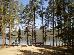 Turquoise lake trail #708 starts 3 miles up the glacier creek trail #690. Molly Brown Psicc Recreation Gov