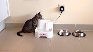 The pump has a low voltage power supply for safety and is provided with a 10 foot power cord for ease of placement. Cat Mate Water Fountain Dispenser Review Must Read