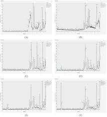 Image result for Synadenium angolense