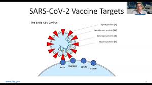 This is the first combination regimen authorized by fda. Covid 19 Vaccines Dive Deep On Emergency Use Authorization American Medical Association