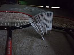 The Dead Shuttlecock In 2020 Shuttlecocks Badminton Tennis Racket