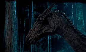 I don't own harry potter. Stray Thoughts When Did Characters First Start Seeing Thestrals Wizarding World