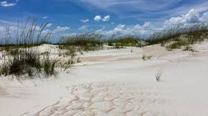 During a stay at monkey island rv resort, you'll be able to head out and spend the day at the shangri la luxury golf resort to attempt a hole in one! Shangri La Trailhead Campground Florida State Parks