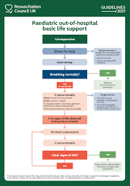Paediatric resuscitation carts were present on both emergency. Paediatric Basic Life Support Guidelines Resuscitation Council Uk