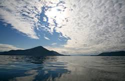 We began paddling in prince william sound in 1982 as personal trips and expanded them to educational opportunities later in the mid eighties. Wildlife Viewing Near Prince William Sound Alaska Department Of Fish And Game