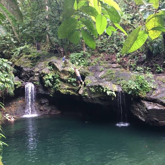 Vieux-Habitants, Guadeloupe: Ce qu'il faut savoir pour votre visite (2026)