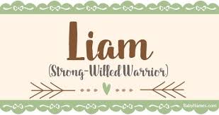 All About The Name Liam Meaning Origin And Popularity Of Liam What Does Liam Mean Click For M Names With Meaning Baby Names And Meanings Unisex Baby Names
