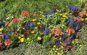 Besonders im sommer ist die wahl der pflanzen von entscheidender bedeutung: Grabbepflanzung Sommer Ideen Und Tipps