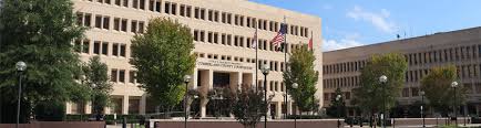 Court System