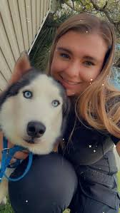 Lost Husky and Great Pyrenees Dogs in Fulton, MO