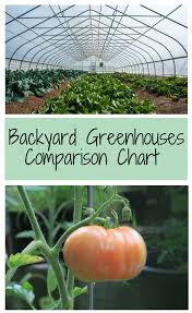 The Benefits Of A Greenhouse Backyard Greenhouse