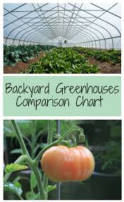 the benefits of a greenhouse backyard greenhouse