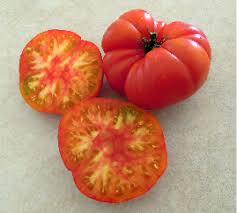 Check spelling or type a new query. Dwarf Tomato Project A Co Operative Venture