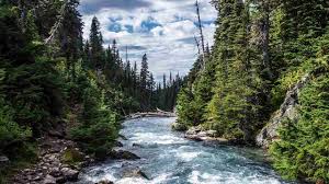 Water generally collects in a river from precipitation through a drainage basin rivers and streams are often considered major features within a landscape, however, they actually only cover around 0.1. River Water All Around The World Are Overflowing With Antibiotics New Study Technology News Firstpost