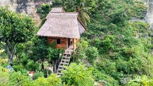 Check spelling or type a new query. Rumah Pohon Ini Hanya Untuk Orang Orang Berani