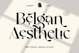 Coolvetica à € by typodermic fonts. Belgan Aesthetic Font Download Free Font