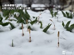 News source: ウェザーニュース