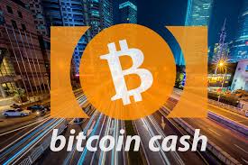 Before starting to predict bitcoin projections, let's go back a little to the basics.i assume, as you are reading this guide, you must have heard of bitcoin. Bitcoin Cash Price May Rise To 1 250 If The Uptrend Remains In Place The Merkle News