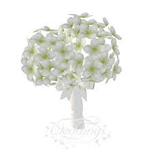 Hydrangea paniculata hybrid 'leep1' pp28973. Second Life Marketplace White Hydrangea Bridal Wedding Bouquet Animations Included