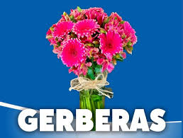 Same day delivery in mexico + free shipping top class museums document and depict that interesting history that mexico city has. Flower Delivery To Mexico From Best Mexico Florists Lolaflora