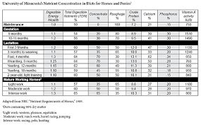 introduction to nutrition for horses