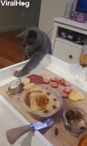 This is a collection of all the most delicious food gifs from around the web. Cat Stealing Food Gifs Get The Best Gif On Giphy
