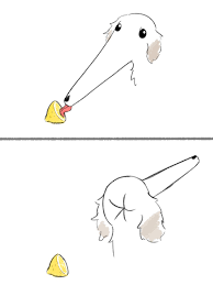 Reversed Anatomy hentai videos, GIFs, and images | R34.app