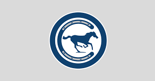 Stampede Blue - Indianapolis