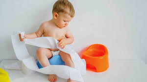 If your child seems ready for potty training but is having difficulties, talk to your child's doctor. Average Age For Potty Training Boys And Girls Tips And More