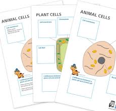Science worksheets, science worksheet templates, science board games. Upper Primary Science Worksheets Pdf
