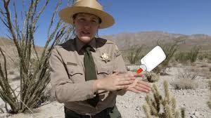 The simplest way to treat cactus needles is to prevent them. Prickly Situation For Hikers How To Remove Cactus Youtube