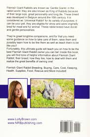 Are flemish rabbits good pets? Flemish Giant Rabbits Flemish Giant Rabbit Breeding Buying Care Cost Keeping Health Supplies Food Rescue And More Included A Complete Flemish Giant Rabbits Pet Guide Brown Lolly Amazon De Bucher