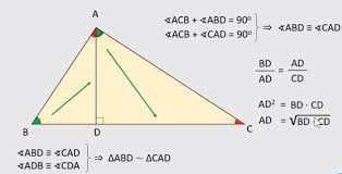 Fie δabc dreptunghic în a, cu ad⊥bc, d∈bc. InÈelegi Matematica Mquest Ro