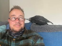 The gorgeous jackdaws so calm and placid I feed them then they keep me  company sitting in the oak tree chilling it great they so cute