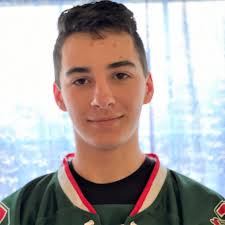 Meet the 2019-20 boys ice hockey All-CNY team