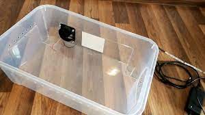 You can build a tiny greenhouse out of 3 storm windows. Diy Series Small Indoor Greenhouse Build Youtube