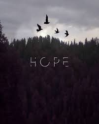 Download Quotes Wallpaper By Zohaib 47 44 Free On Zedge Now Browse Millions Of Popular Birds Wallpa Hope Quotes Wallpaper Hope Wallpaper Wallpaper Quotes