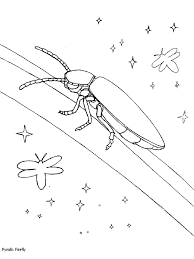 Use these images to quickly print coloring pages. Firefly Coloring Page Animals Town Free Firefly Color Sheet