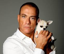 INTERVIEW: THE MYSTERY MAN BEHIND 'VAN DAMME FRIDAY' SPEAKS