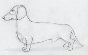 Http Www Easy Drawings And Sketches Com Images How To Draw Dog05 Jpg Dog Drawing Dog Drawing Simple Dachshund Drawing